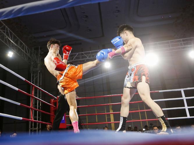 无限制格斗哪家强？格斗爱好者必看的热门盘点！