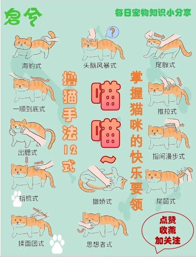 新手如何使用tuimofen?详细教程看这里!