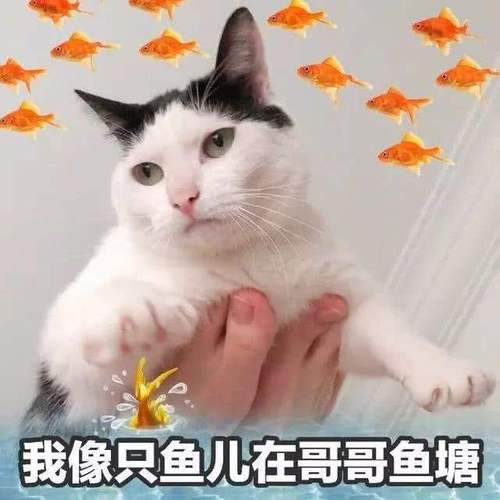 zg是什么梗？这个梗的出处和含义都在这！