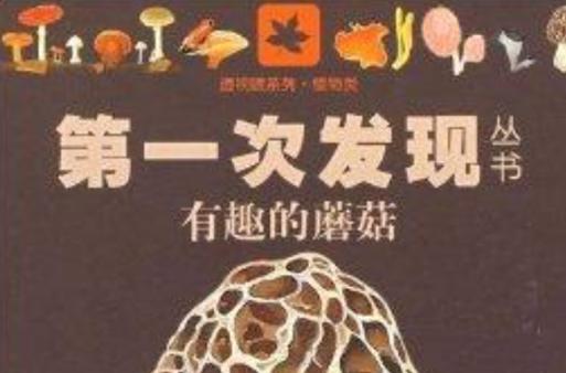 收藏家库米沙的眼光有多毒？学习他的收藏技巧和心得！