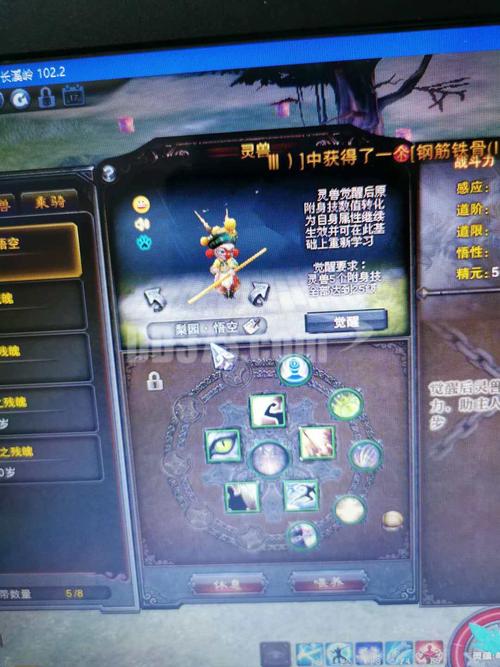 斗战神真言怎么融合好？高玩教你玩转真言！