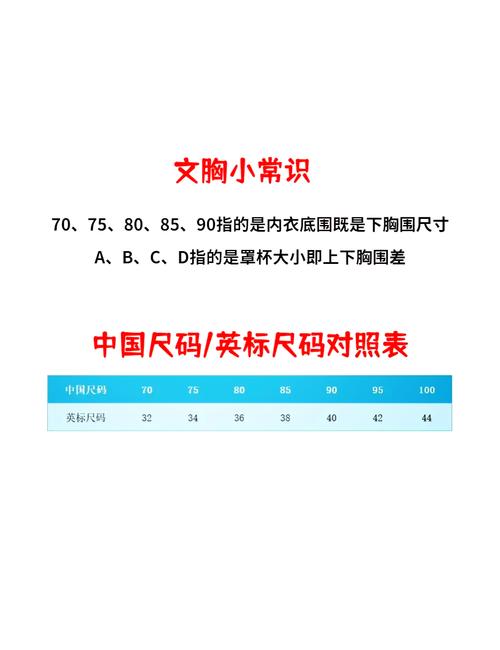 无名d罩杯是什么罩杯？详细解读这个网络热词！