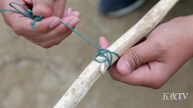 捕鹤陷阱怎么才能更坚固？捕鹤达人经验分享！