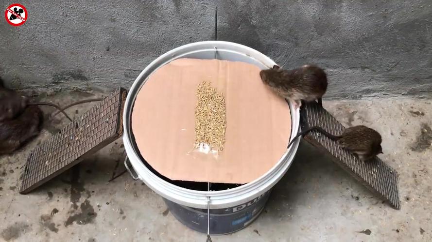 捕鹤陷阱怎么才能更坚固？捕鹤达人经验分享！