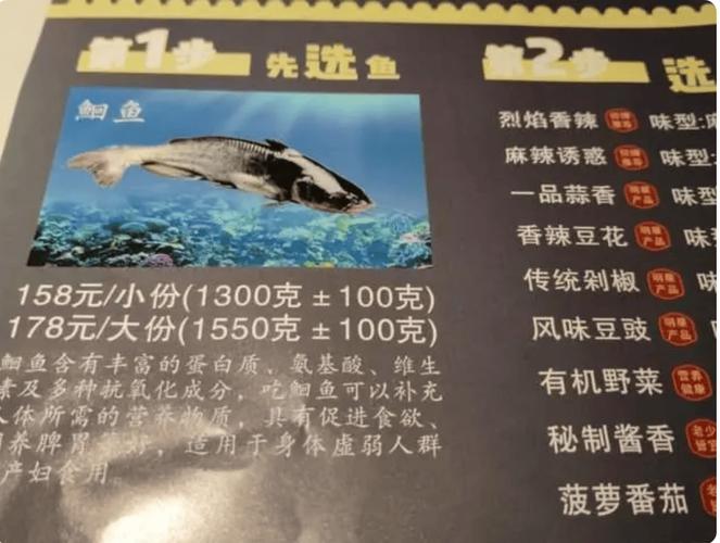 折耳鱼多少钱一斤？哪里能买到正宗的？