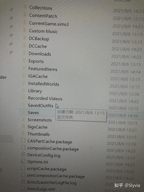 找不到勿忘我 存档怎么办？手把手教你定位存档文件夹。