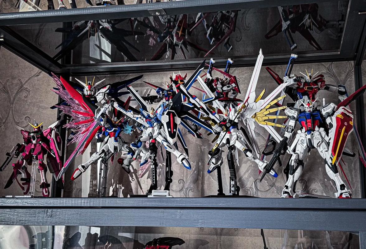 最新seed3攻略大全来了,老玩家总结的经验分享!