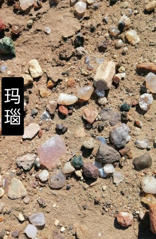 想去七星殿拍卖行寻宝?这几个注意事项要牢记!