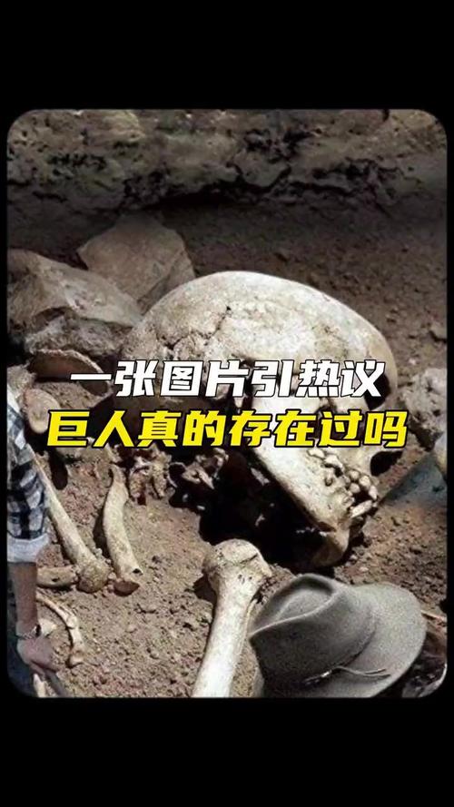 探索被蚕食的神殿废墟：隐藏的秘密与未解之谜等你来发现