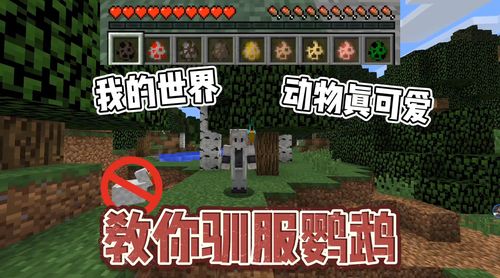 我的世界开服难不难？看完这篇攻略就会了！