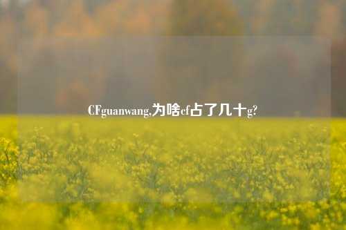CFguanwang,为啥cf占了几十g?