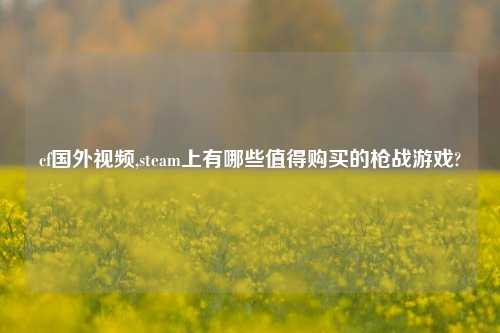 cf国外视频,steam上有哪些值得购买的枪战游戏?