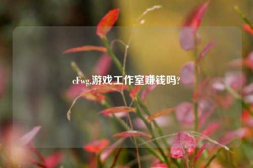 cFwg,游戏工作室赚钱吗?