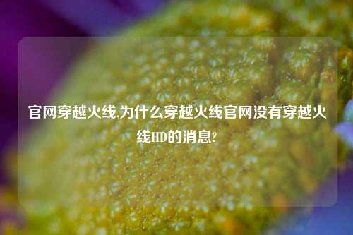 官网穿越火线,为什么穿越火线官网没有穿越火线HD的消息?