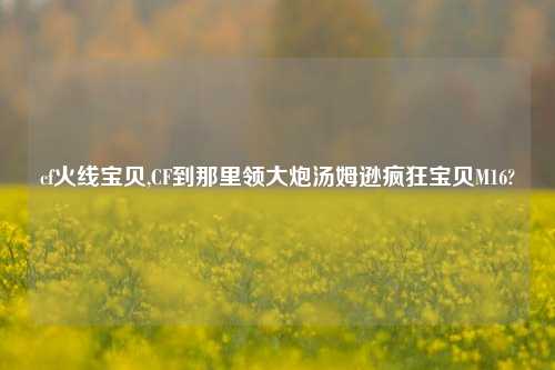 cf火线宝贝,CF到那里领大炮汤姆逊疯狂宝贝M16?