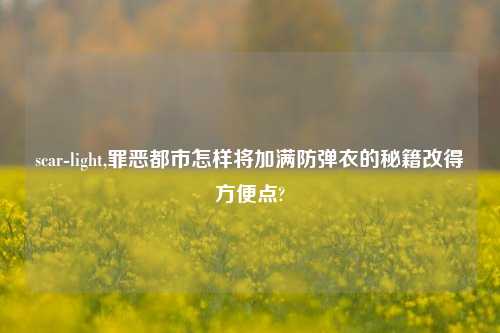 scar-light,罪恶都市怎样将加满防弹衣的秘籍改得方便点?