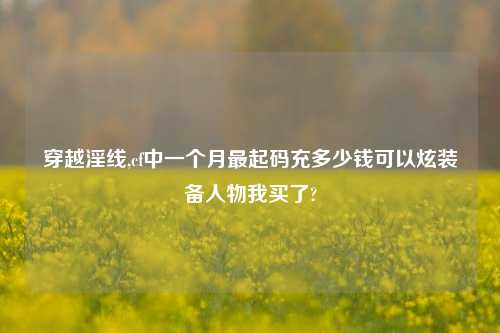 穿越淫线,cf中一个月最起码充多少钱可以炫装备人物我买了?