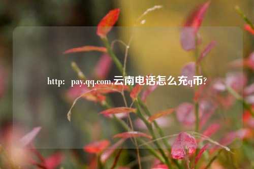 http:  pay.qq.com,云南电话怎么充q币?