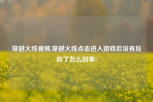 穿越火线视频,穿越火线点击进入游戏后没有反应了怎么回事?