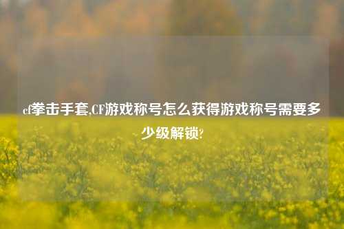 cf拳击手套,CF游戏称号怎么获得游戏称号需要多少级解锁?
