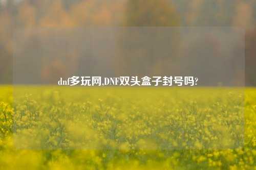 dnf多玩网,DNF双头盒子封号吗?