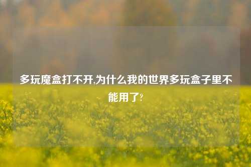 多玩魔盒打不开,为什么我的世界多玩盒子里不能用了?