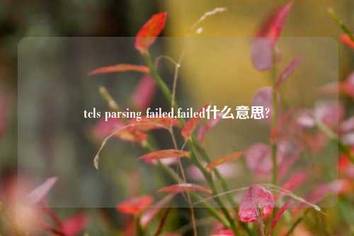 tcls parsing failed,failed什么意思?