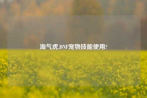 淘气虎,DNF宠物技能使用?