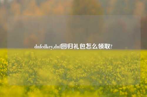dnfcdkey,dnf回归礼包怎么领取?