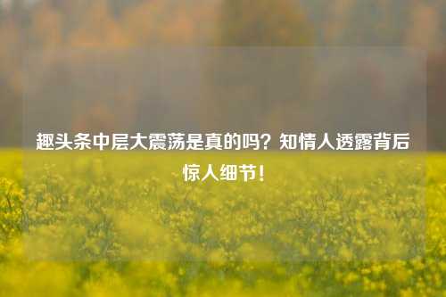 趣头条中层大震荡是真的吗？知情人透露背后惊人细节！
