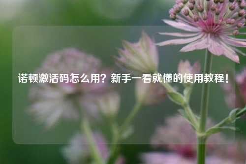 诺顿激活码怎么用？新手一看就懂的使用教程！