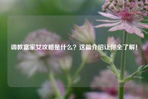 调教富家女攻略是什么？这篇介绍让你全了解！