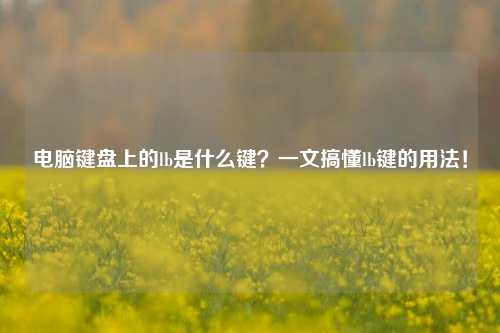 电脑键盘上的lb是什么键？一文搞懂lb键的用法！