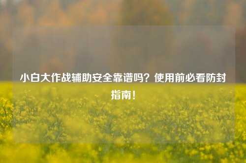 小白大作战辅助安全靠谱吗？使用前必看防封指南！