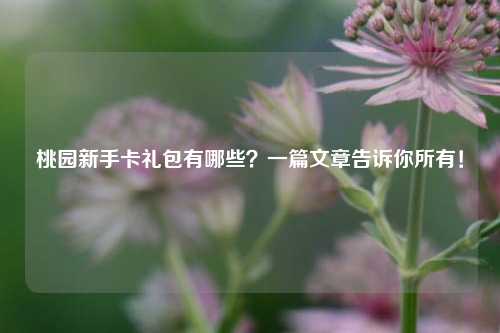 桃园新手卡礼包有哪些？一篇文章告诉你所有！