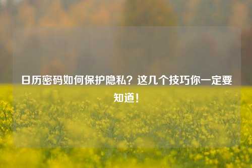日历密码如何保护隐私？这几个技巧你一定要知道！