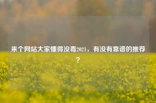 来个网站大家懂得没毒2021，有没有靠谱的推荐？