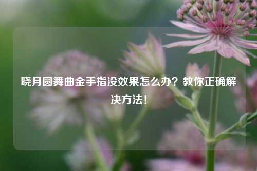 晓月圆舞曲金手指没效果怎么办？教你正确解决方法！