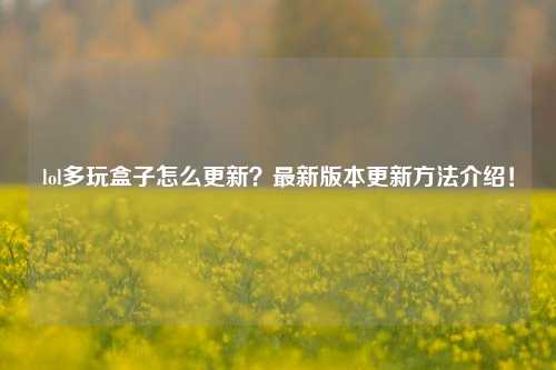lol多玩盒子怎么更新？最新版本更新方法介绍！