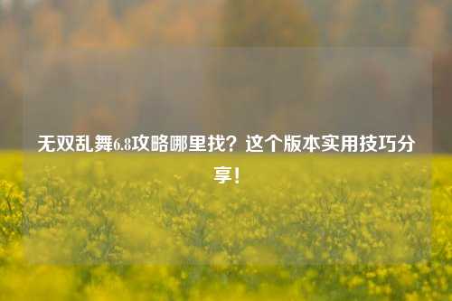 无双乱舞6.8攻略哪里找？这个版本实用技巧分享！