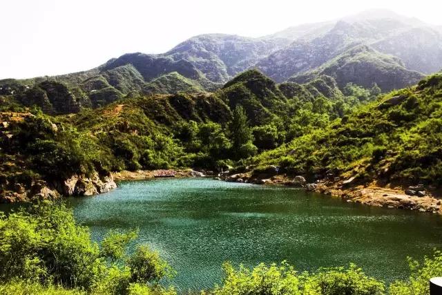 真野猪门票,景点一日游外送活鸡鸭一只包中餐不购物70元他挣什么?