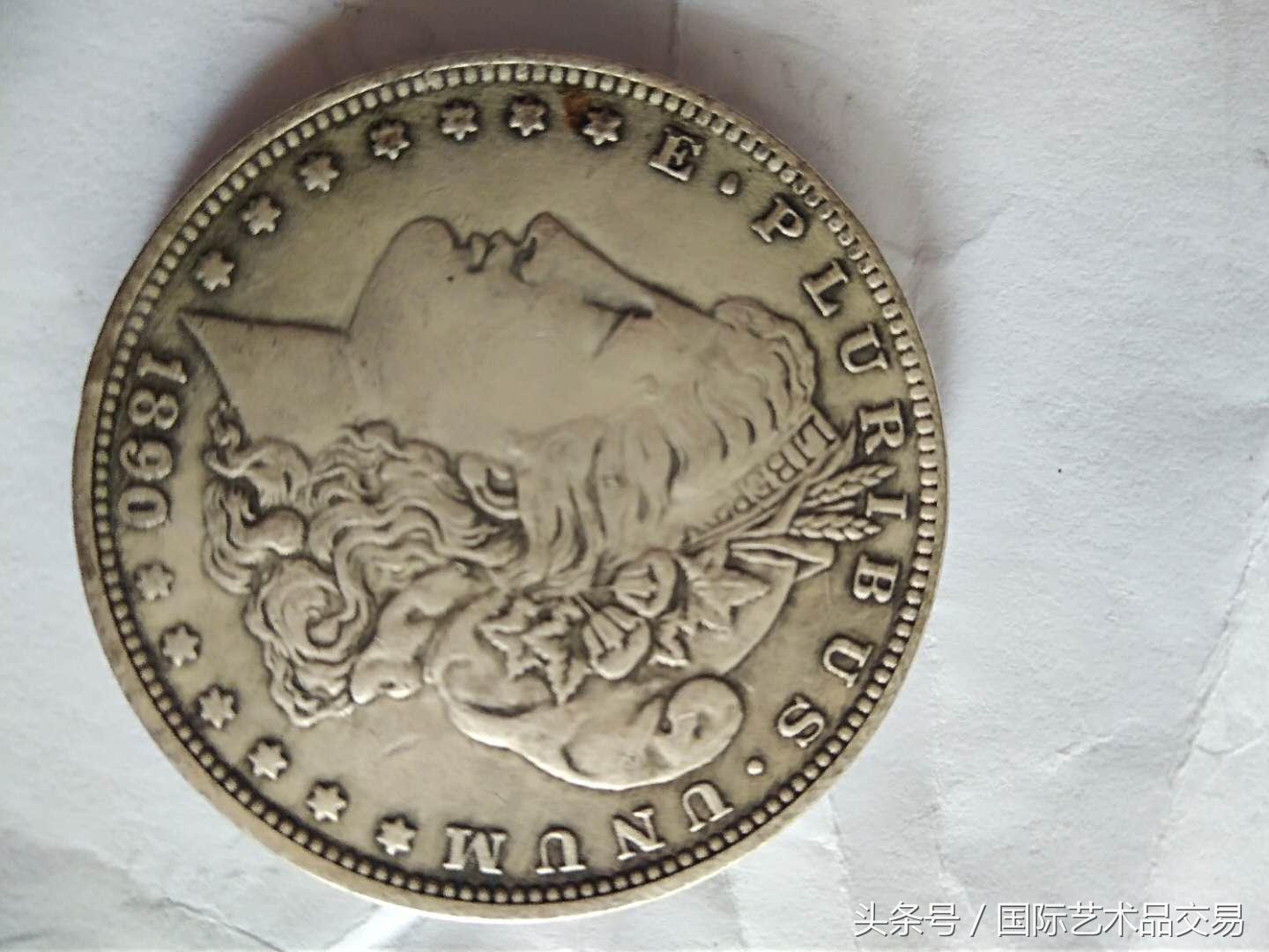 摩根之爪(蝙蝠是什么进化来的)