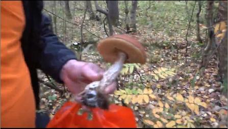 cf红色烟雾弹,cf桌面分辨率设置?