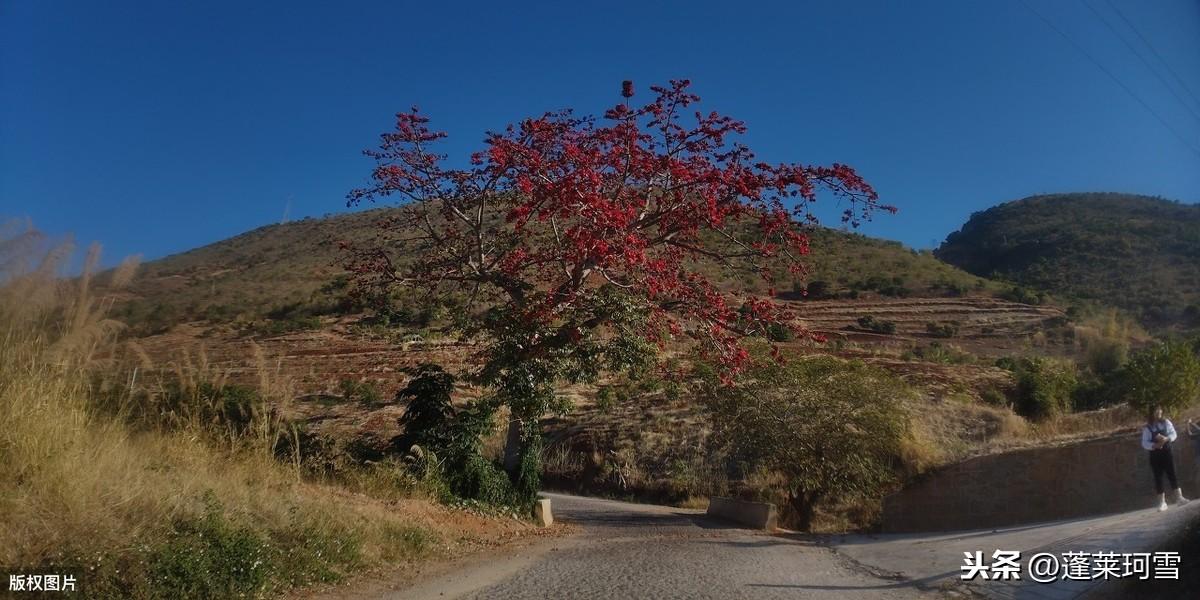 狼牙传说,刘备的盔甲叫什么名字?